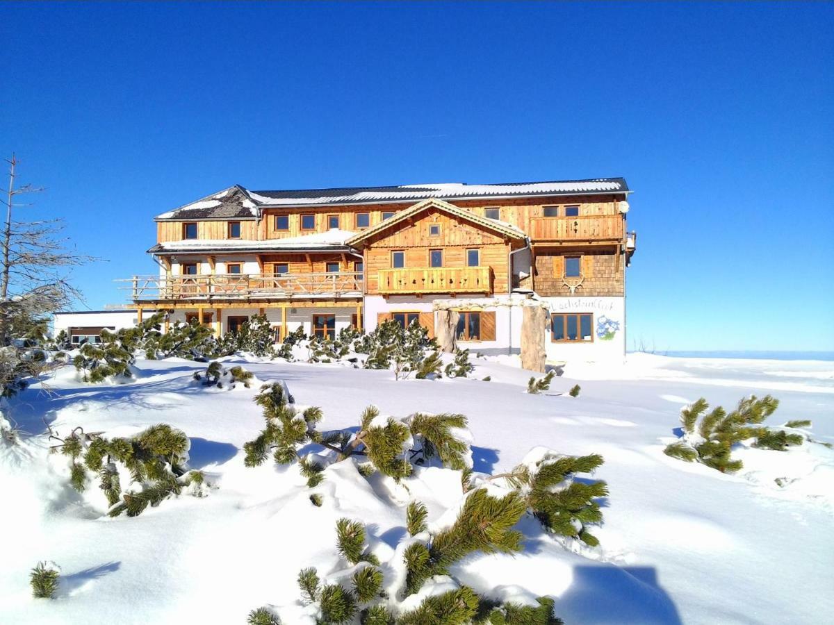 Вилла Almhaus Dachsteinblick Am Feuerkogel Эбензее Экстерьер фото